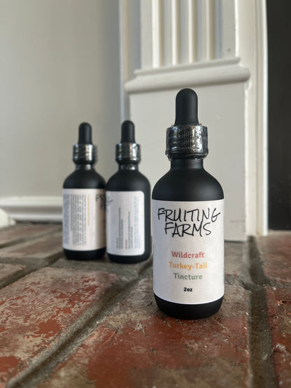 Wildcrafted Turkey Tail Tincture